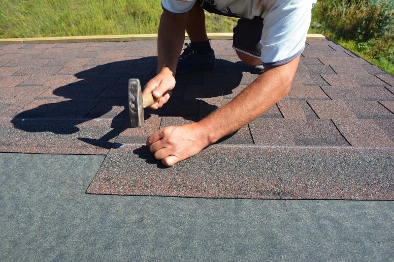 Professional Asphalt Roof Repair 6